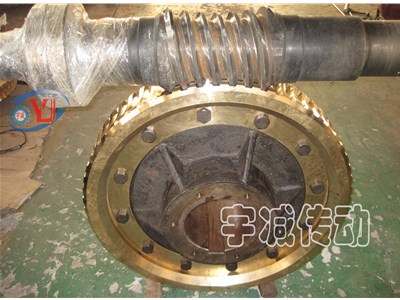 560中心距双头平面二次包络蜗轮副维修